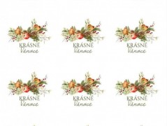 Blahopřání *Barevno*