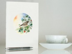 Blahopřání *Barevno*