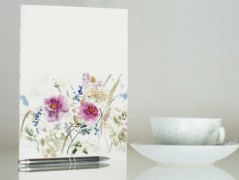 Blahopřání *Barevno*