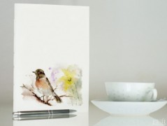 Blahopřání *Barevno*