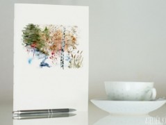 Blahopřání *Barevno*