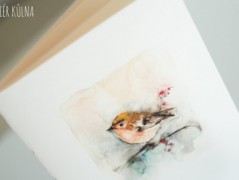 Blahopřání *Barevno*