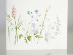 Blahopřání *Barevno*