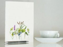 Blahopřání *Barevno*