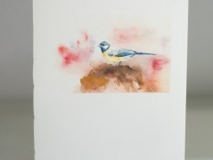 Blahopřání *Barevno*