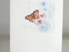 Blahopřání *Barevno*