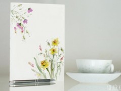 Blahopřání *Barevno*