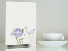 Blahopřání *Barevno*