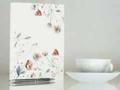 Blahopřání *Barevno*