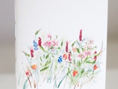 Blahopřání *Barevno*