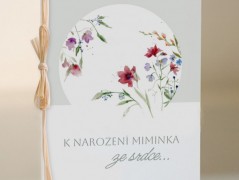 Blahopřání *Barevno*