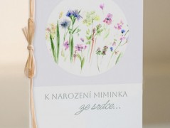 Blahopřání *Barevno*