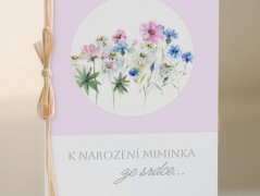 Blahopřání *Barevno*