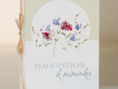 Blahopřání *Barevno*