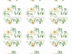 Blahopřání *Barevno*