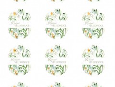 Blahopřání *Barevno*