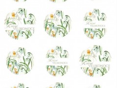 Blahopřání *Barevno*