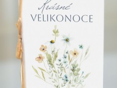 Blahopřání *Barevno*