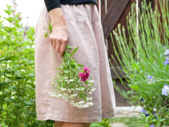 Blahopřání *Barevno*