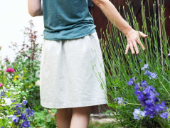 Blahopřání *Barevno*