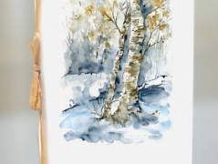 Blahopřání *Barevno*