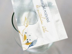 Blahopřání *Barevno*