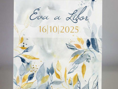 Blahopřání *Barevno*