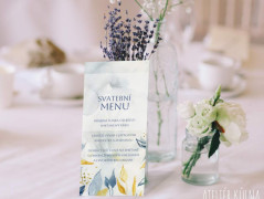 Blahopřání *Barevno*