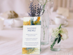 Blahopřání *Barevno*