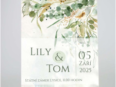 Blahopřání *Barevno*