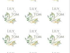 Blahopřání *Barevno*