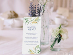 Blahopřání *Barevno*