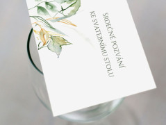 Blahopřání *Barevno*