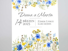 Blahopřání *Barevno*