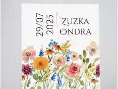 Blahopřání *Barevno*