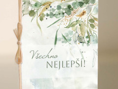 Blahopřání *Barevno*