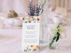 Blahopřání *Barevno*