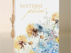 Blahopřání *Barevno*