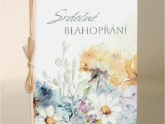 Blahopřání *Barevno*