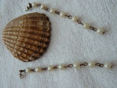 FLOWERS - Oranžový květ