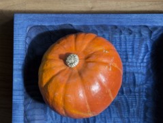 Miska střední obdélnatá 