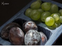 Miska střední obdélnatá 