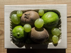 Miska střední obdélnatá 