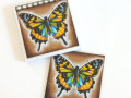 bloček+magnetický obrázek-MOTÝL