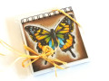 bloček+magnetický obrázek-MOTÝL