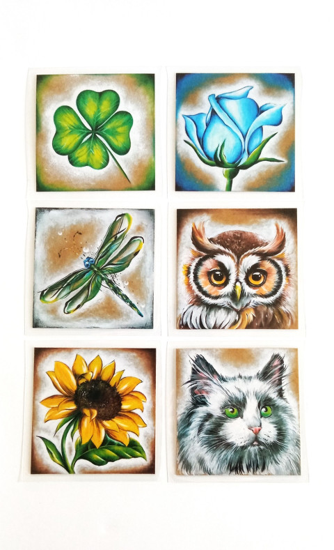 magnetický obrázek květiny zvířata 