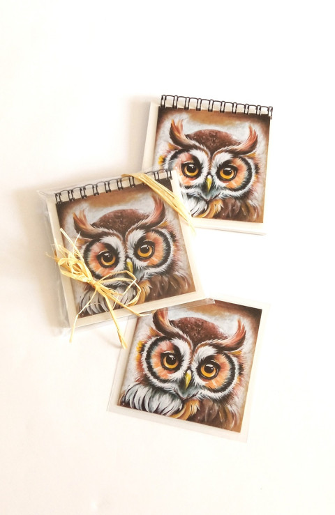 bloček+magnetický obrázek-SOVA sova bloček 