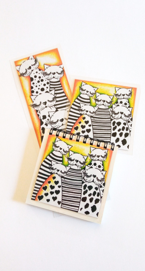 blok+magnetický obrázek kočičky bloček magnet 