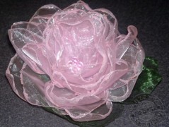 Srdíčko s bílou mašlí