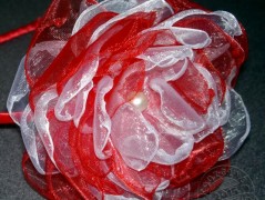 Srdíčko s bílou mašlí